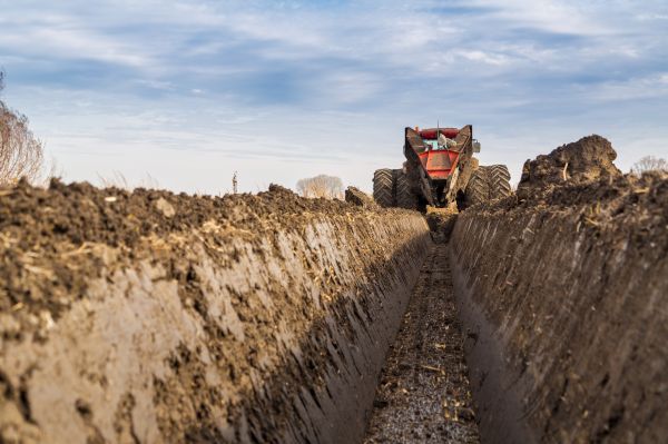Drainage Grading Service in Albany