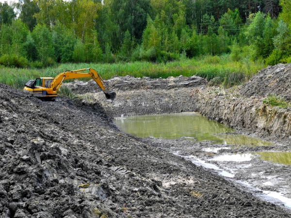 Fish Pond Digging in Albany