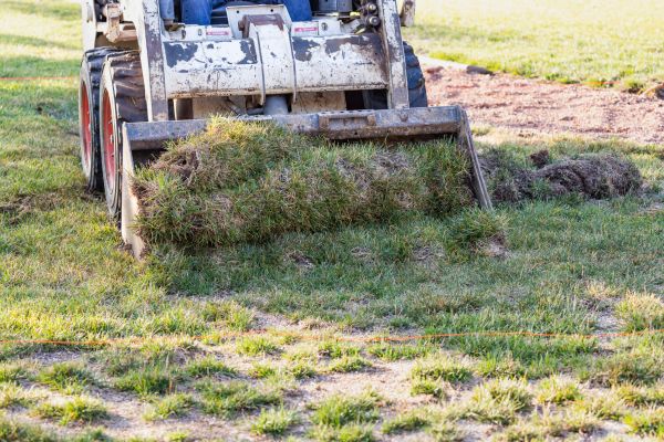 Landscape Leveling in Albany