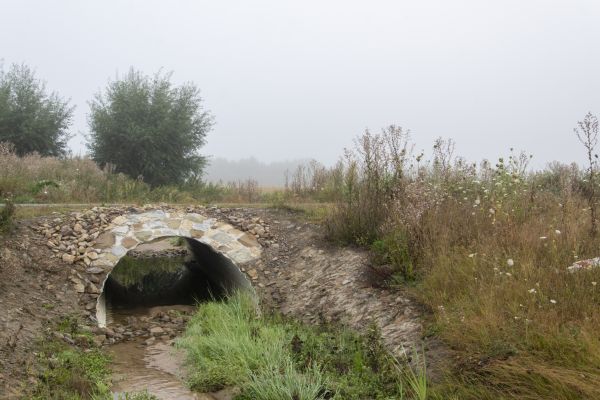 Culvert Excavation in Albany